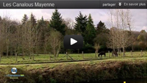Video Mayenne